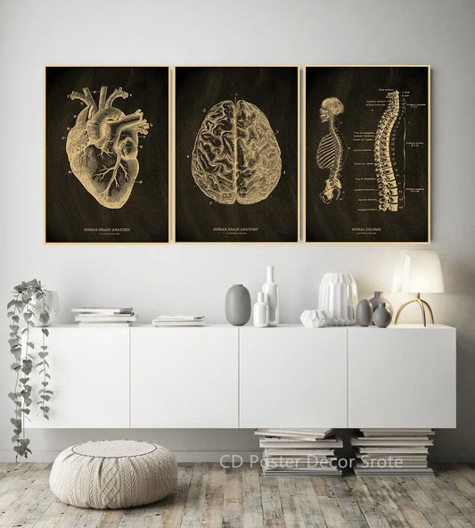 Heart/Skull/Brain Kraft Paper Poster Chalkboard – Anatomical Skeleton Vintage Medical Art Wall Painting